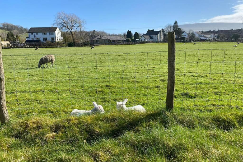 Sawley In The Forest Of Bowland - Cosy Cottage. Clitheroe Luaran gambar